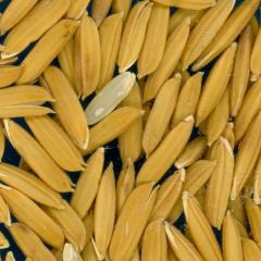 column KERNELS