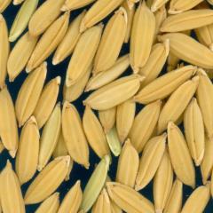 column KERNELS