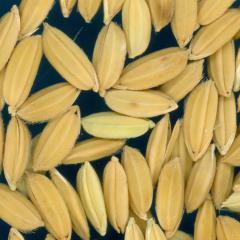 column KERNELS