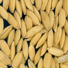 column KERNELS
