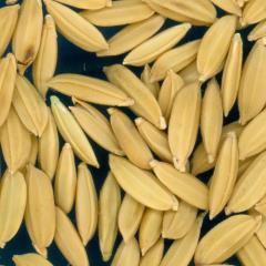 column KERNELS