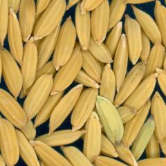 column KERNELS