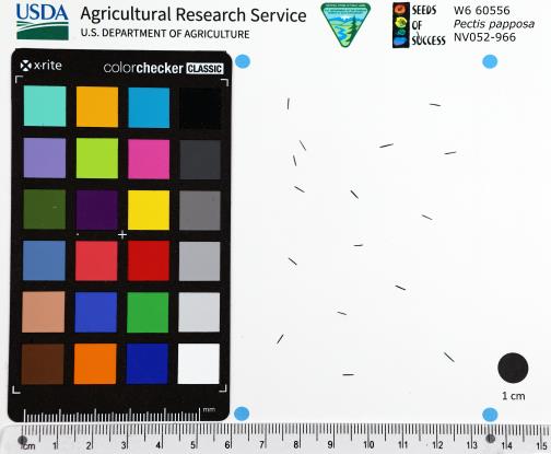 Click for 1 image(s) for this accession. SEED