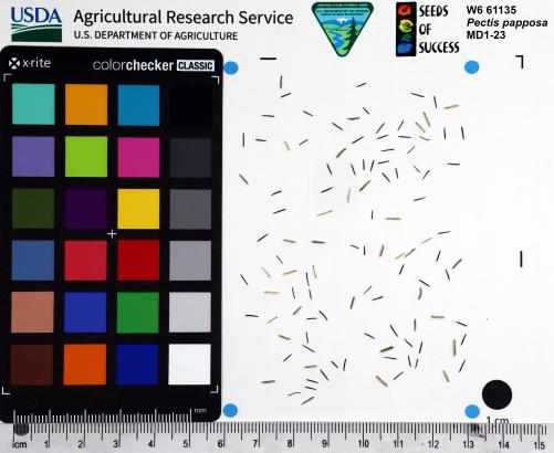 Click for 1 image(s) for this accession. SEED
