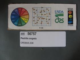 SEED