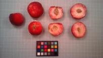 column FRUIT