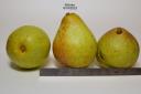 column FRUIT