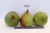 column FRUIT