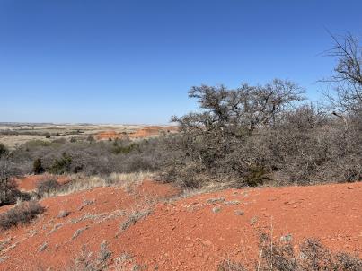 column HABITAT