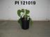 Click for 1 image(s) for this accession. FRUIT