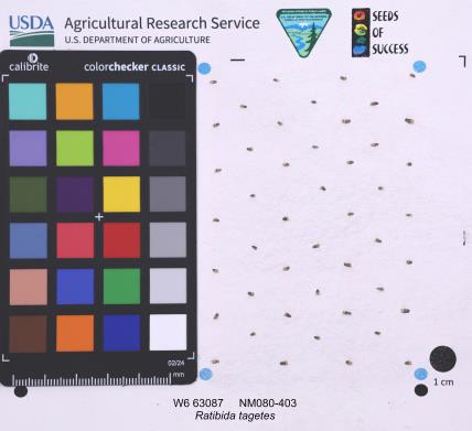 Click for 1 image(s) for this accession. SEED