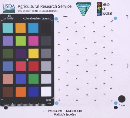 Click for 1 image(s) for this accession. SEED