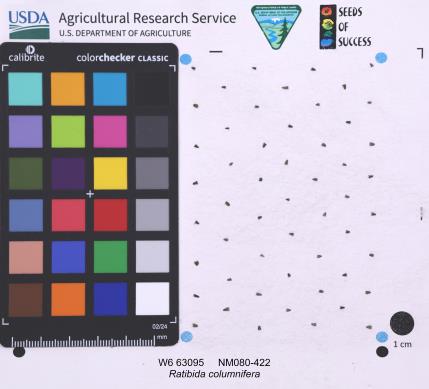 Click for 1 image(s) for this accession. SEED