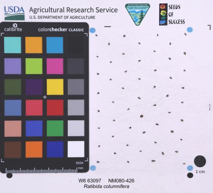 Click for 1 image(s) for this accession. SEED