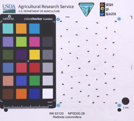 Click for 1 image(s) for this accession. SEED