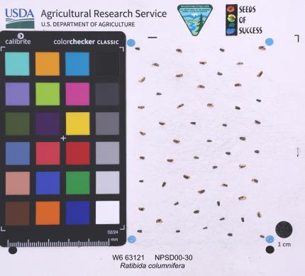 Click for 1 image(s) for this accession. SEED
