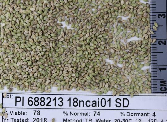 column SEED