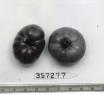column FRUIT