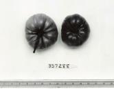 column FRUIT