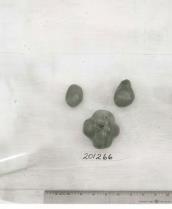 column FRUIT