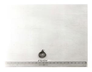 column FRUIT