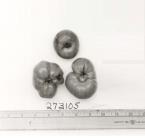 column FRUIT
