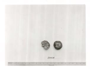 column FRUIT