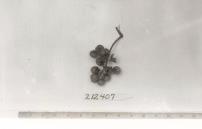 column FRUIT