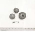 column FRUIT