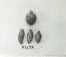 column FRUIT