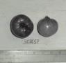 column FRUIT