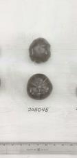column FRUIT