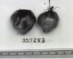 column FRUIT