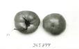 column FRUIT
