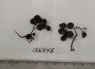 column FRUIT
