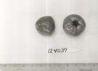 column FRUIT