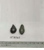 column FRUIT