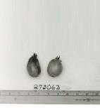 column FRUIT