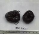 column FRUIT