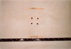 column FRUIT