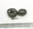 column FRUIT