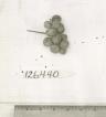 column FRUIT