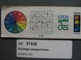 SEED