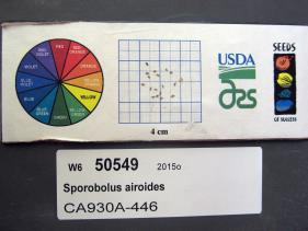 SEED