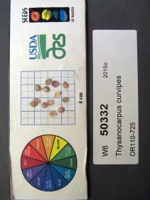 SEED