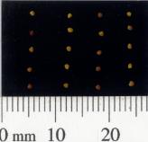 column SEED