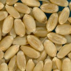 KERNELS