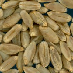 KERNELS