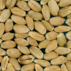 Kernels