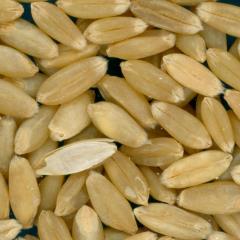 KERNELS